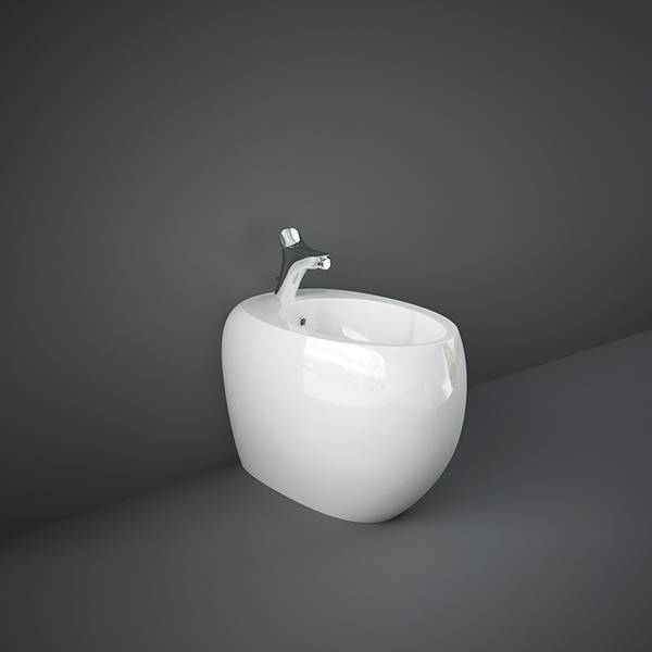 Cloud White Glossy/Matt Bidet