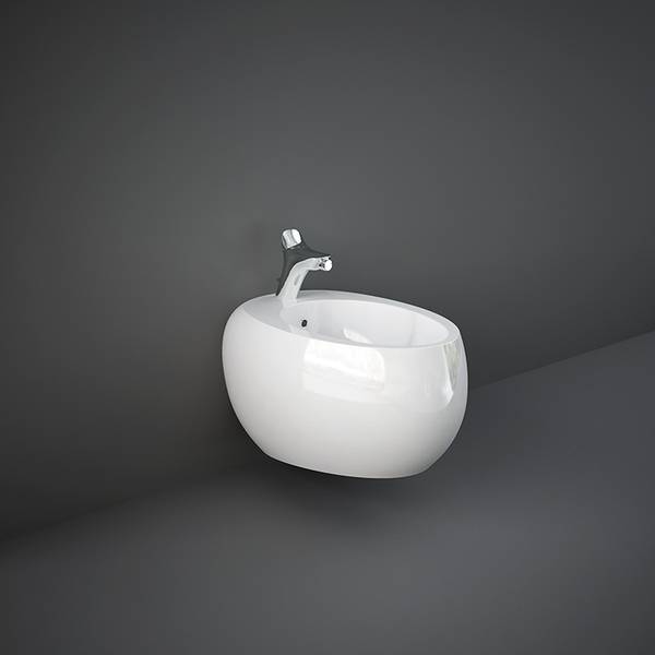 Cloud White Glossy/Matt Bidet